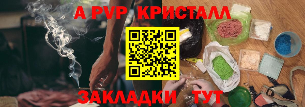 Альфа ПВП СК Архангельск