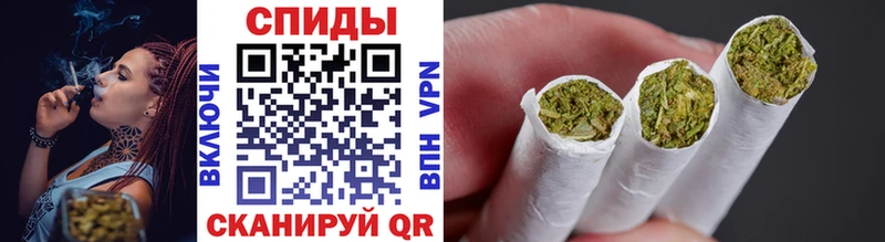 Бутират буратино Архангельск
