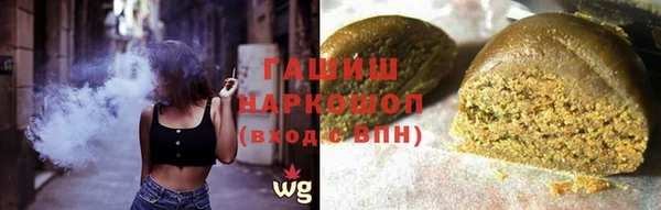 гидра Абаза