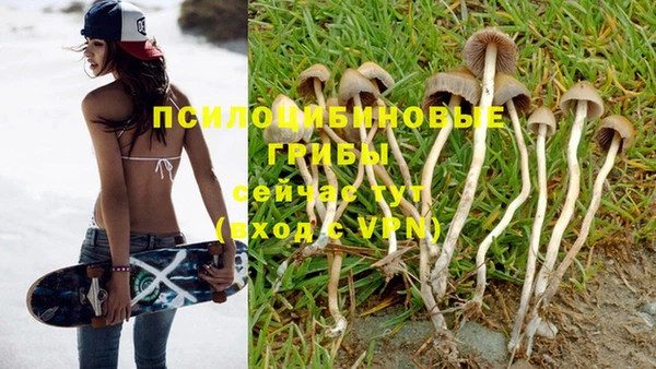 Альфа ПВП Абинск