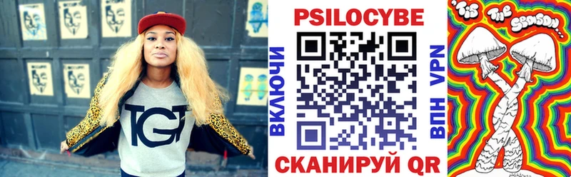 купить закладку  Архангельск  площадка наркотические препараты  Псилоцибиновые грибы Psilocybine cubensis 