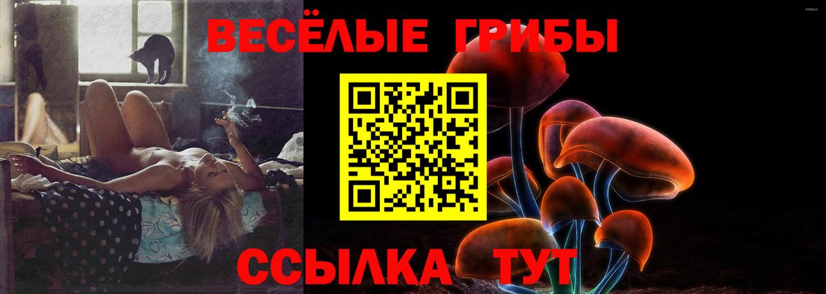 Галлюциногенные грибы прущие грибы Архангельск